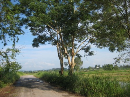 39 rai a few kilometers past Santiburi golf course