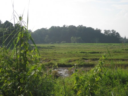 39 rai a few kilometers past Santiburi golf course