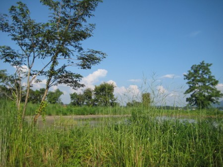 240 rai, 5 km from Central Plaza