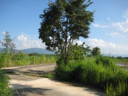240 rai, 5 km from Central Plaza