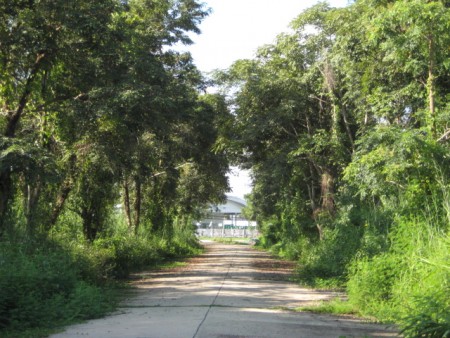 240 rai, 5 km from Central Plaza
