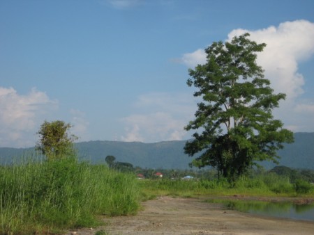 240 rai, 5 km from Central Plaza