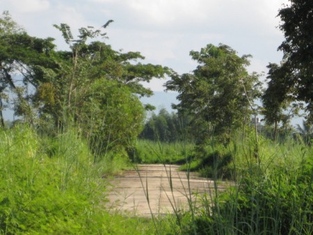 240 rai, 5 km from Central Plaza