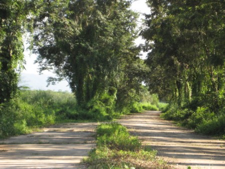 240 rai, 5 km from Central Plaza