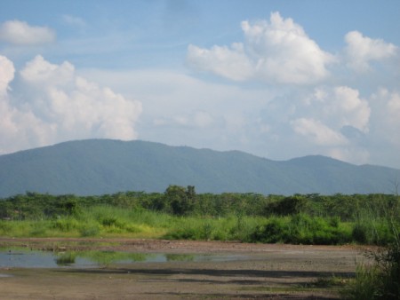 240 rai, 5 km from Central Plaza