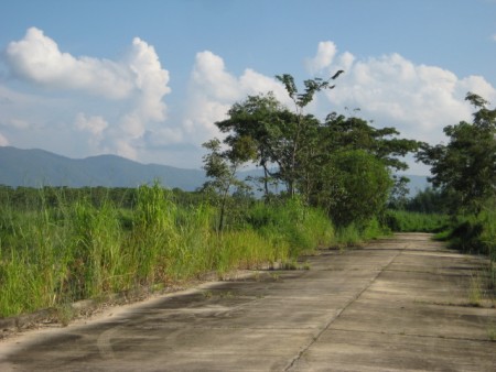 240 rai, 5 km from Central Plaza