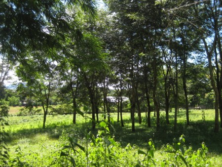 Small home in Mae Yao