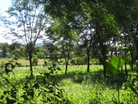 Small home in Mae Yao