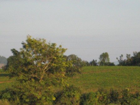 44 rai overlooking Nong Luang Lake