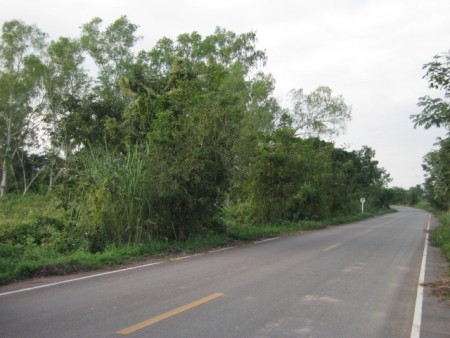 44 rai overlooking Nong Luang Lake