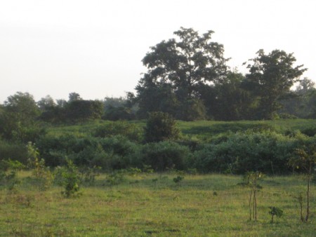 44 rai overlooking Nong Luang Lake