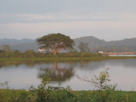 44 rai overlooking Nong Luang Lake