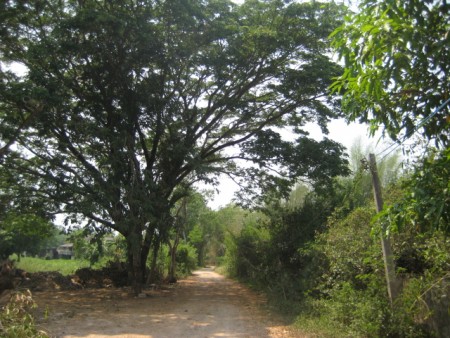 5 rai next to museum and cultural park