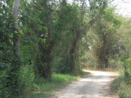 5 rai next to museum and cultural park