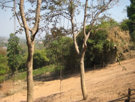2 rai on Doi Khao Kwai Hill, amazing views