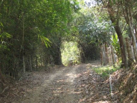 2 rai on Doi Khao Kwai Hill, amazing views
