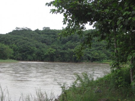 14 rai on Mae Kok river