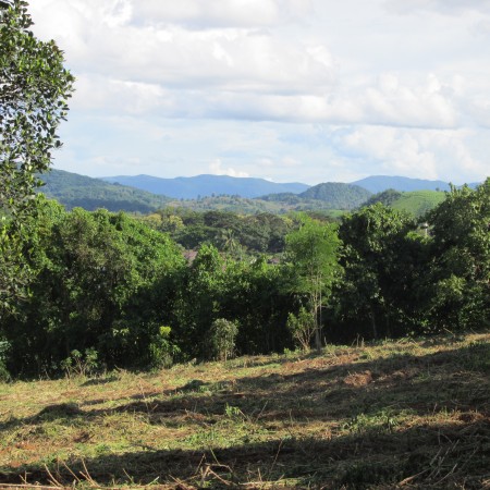 8 rai in Mae Yao, beautiful views