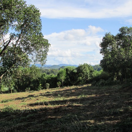 8 rai in Mae Yao, beautiful views