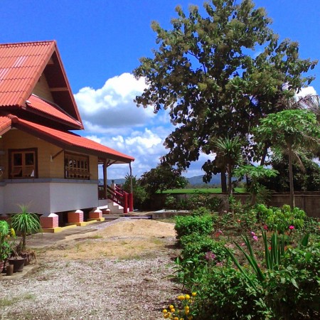 2-Bd house with small pool in Wiang Chai, great views