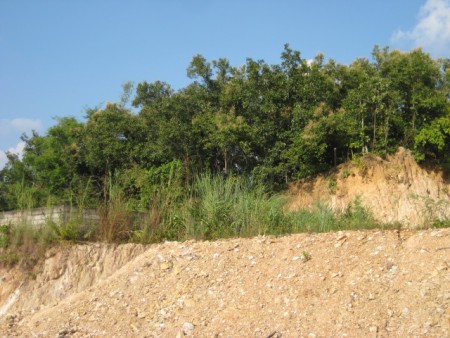 Plots over-looking Nong Pueng Lake, desirable location