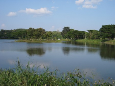 Plots over-looking Nong Pueng Lake, desirable location