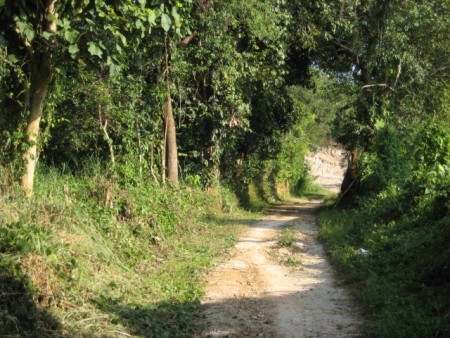 Plots over-looking Nong Pueng Lake, desirable location