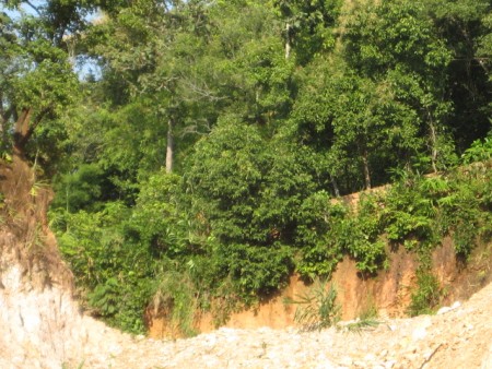 Plots over-looking Nong Pueng Lake, desirable location