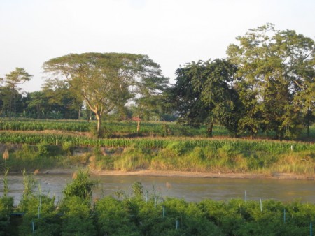 Beautiful stretch of land on Mae Kok River
