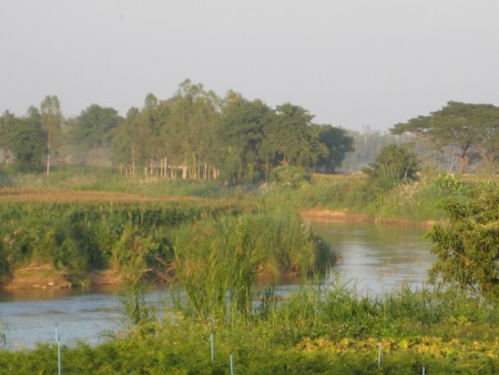 Beautiful stretch of land on Mae Kok River