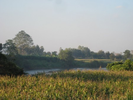 Beautiful stretch of land on Mae Kok River