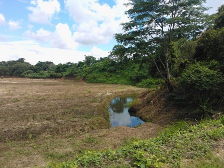Large plot in Mae Fah valley suitable for development