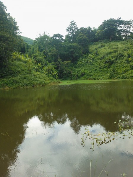 Large plot in Mae Fah valley suitable for development