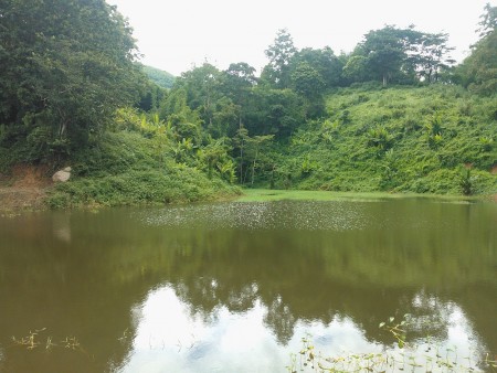 Large plot in Mae Fah valley suitable for development