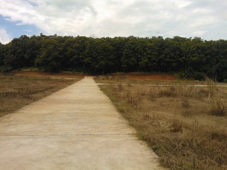 Large plot in Mae Fah valley suitable for development