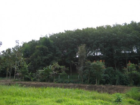 1-Bd Home on 10 rai, beautiful countryside