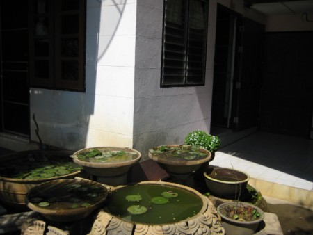 Traditional Thai-style house near international school