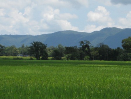 2 rai near the White Temple