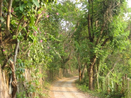 3 rai on Mae Korn river
