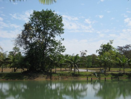 Residential development near golf course