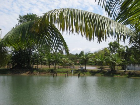 Plots near Santiburi Golf Course