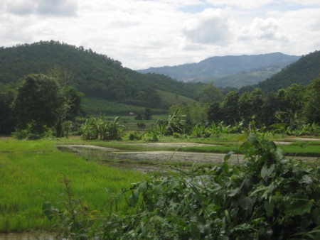 8 rai in Mae Lao, pleasant scenery