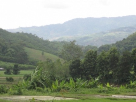 8 rai in Mae Lao, pleasant scenery