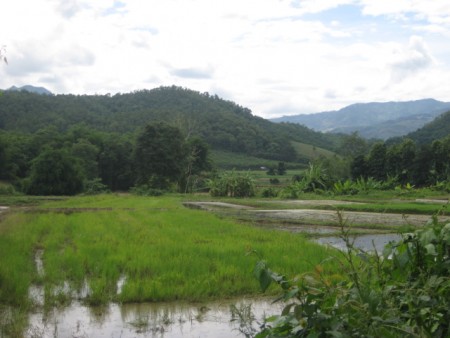 8 rai in Mae Lao, pleasant scenery