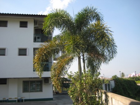 Apartment building next to Central Plaza