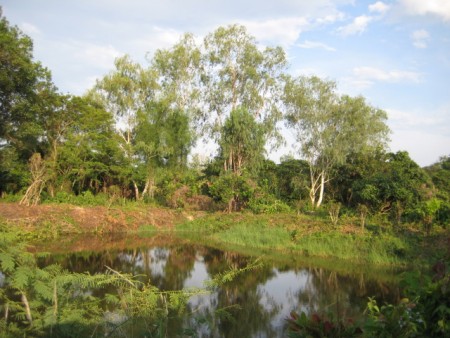 4 rai in Hua Doi next to scenic lakes
