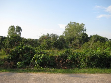 4 rai in Hua Doi next to scenic lakes