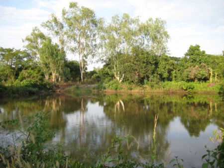 4 rai in Hua Doi next to scenic lakes