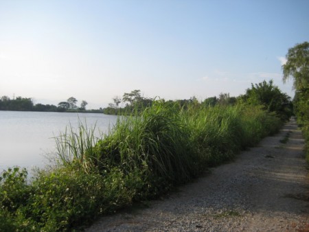 4 rai in Hua Doi next to scenic lakes