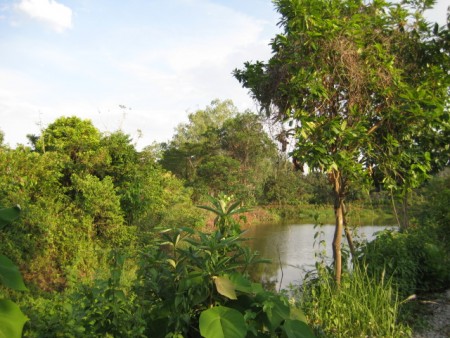 4 rai in Hua Doi next to scenic lakes
